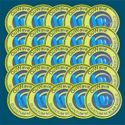 25 EMF protection stickers for cell phones